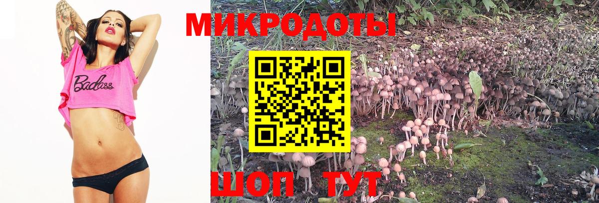 Кизляр  Галлюциногенные грибы GOLDEN TEACHER  Вход с VPN 