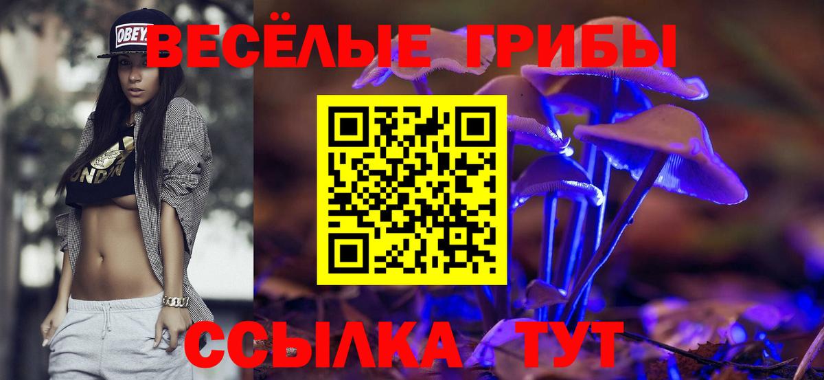 Галлюциногенные грибы Psilocybe Кизляр